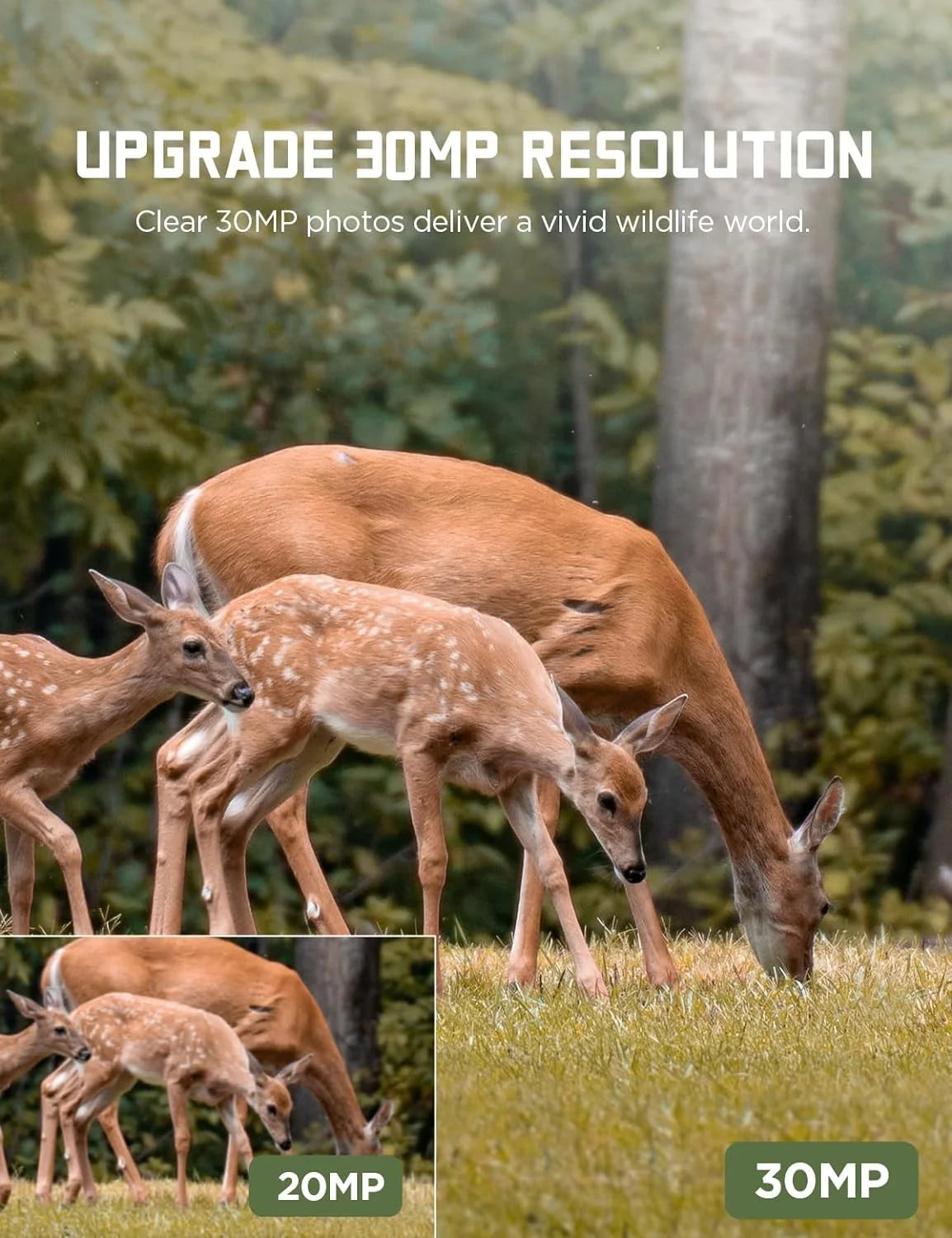 CEYOMUR Trail Camera, 30MP 1080P Hunting Camera with Low Glow IR Leds Night Vision Motion Activated, Video Game Cam with IP66 Waterproof for Wildlife Monitoring