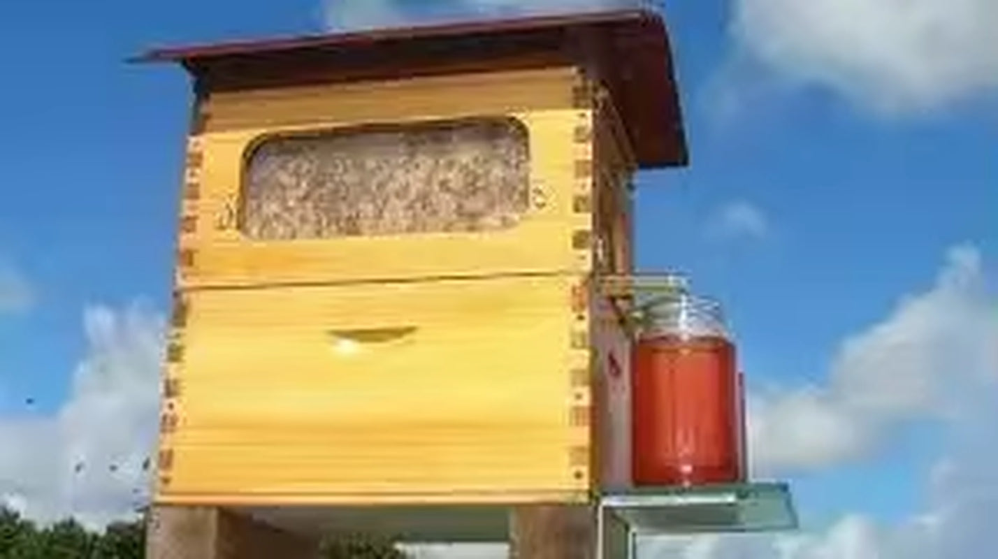 Golden Palace Automatic Flows Hive 2 Beehive 7Pcs Super Box Free Flows Frame
