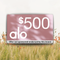 $500 ALO YOGA GIFT CARD
