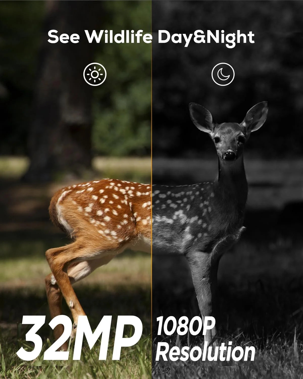 CEYOMUR Trail Camera, 30MP 1080P Hunting Camera with Low Glow IR Leds Night Vision Motion Activated, Video Game Cam with IP66 Waterproof for Wildlife Monitoring